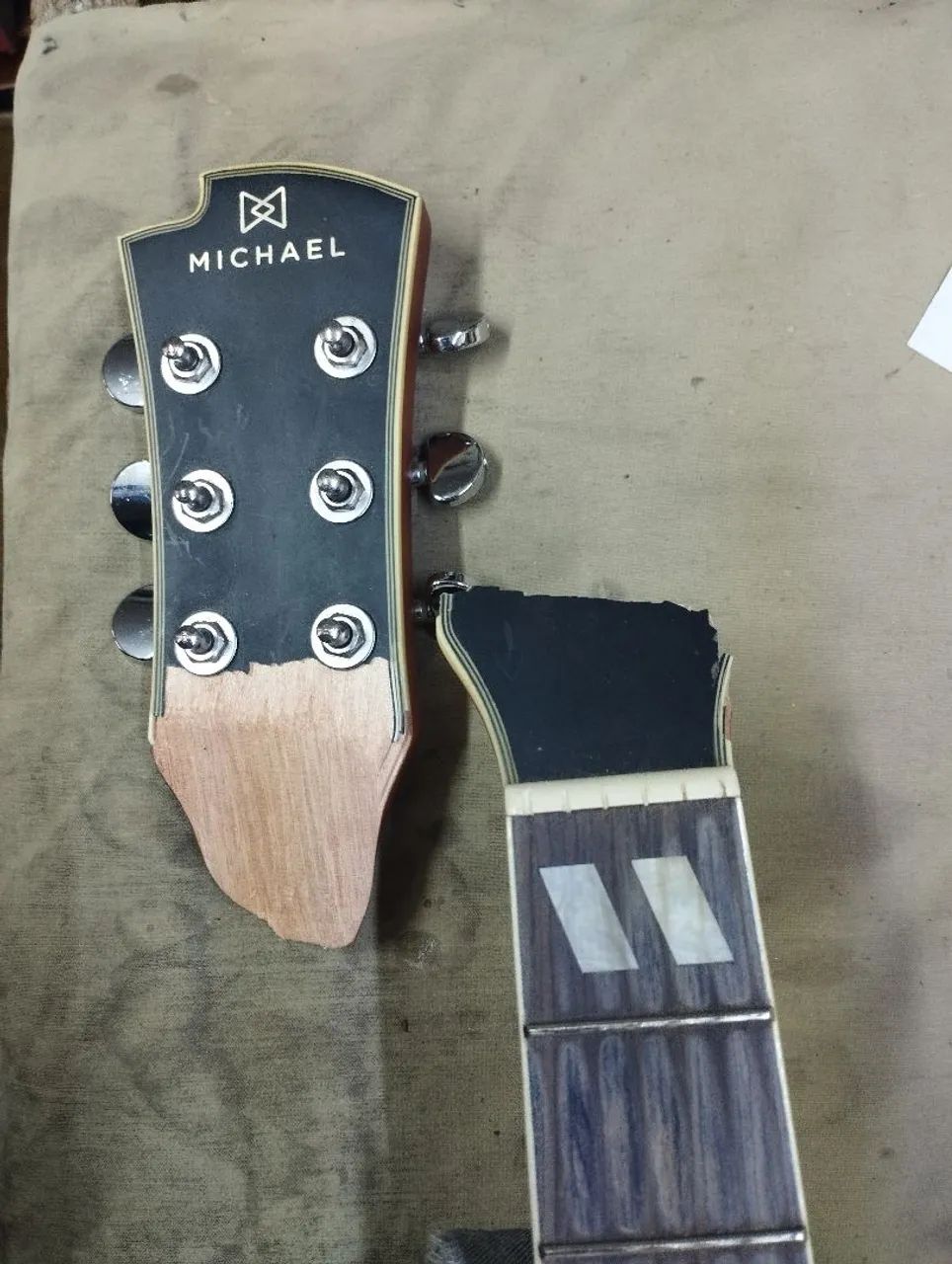 Koyott luthieria.  - Foto 3