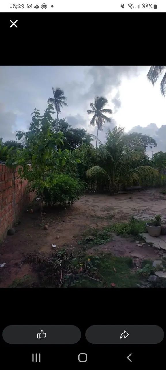 Casa no Gurugi  - Foto 4