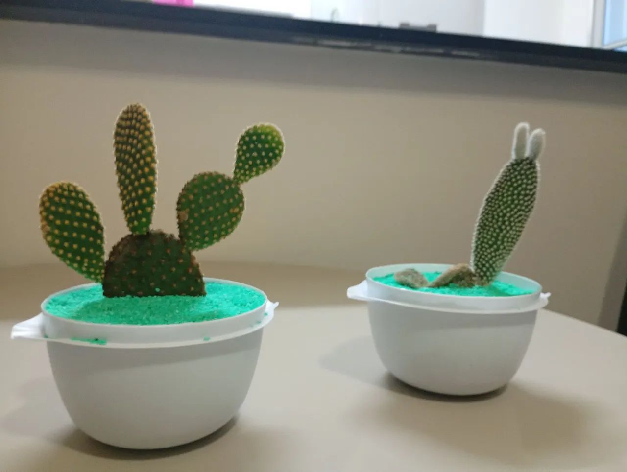 Mini cactos para palmeirense  - Foto 3