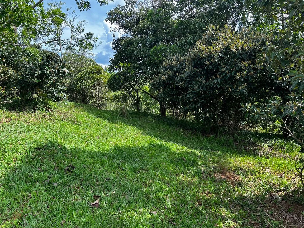 AREA COM 22.560 METROS EM JAMBEIRO SP - Foto 4