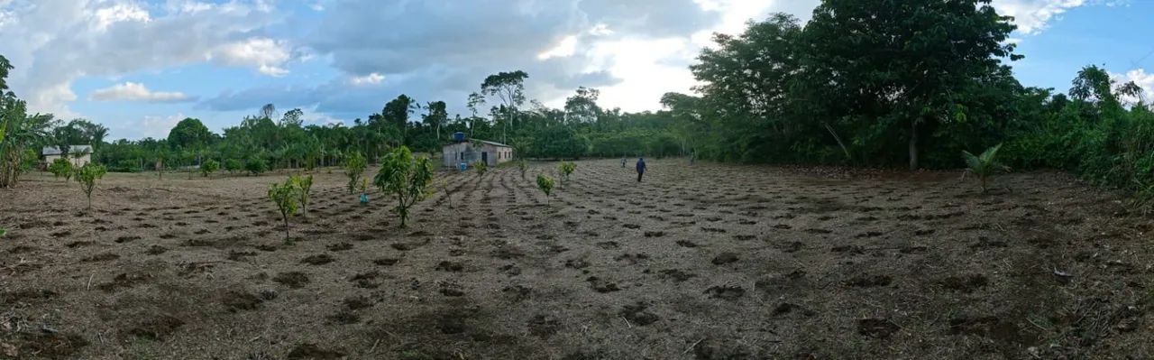 Chacara 5600m2 ramal dos coco - Foto 3