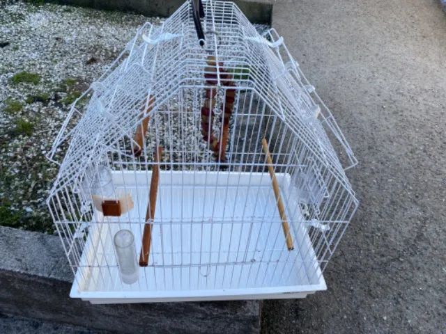 Gaiola para calopsita, papagaio? - Foto 2
