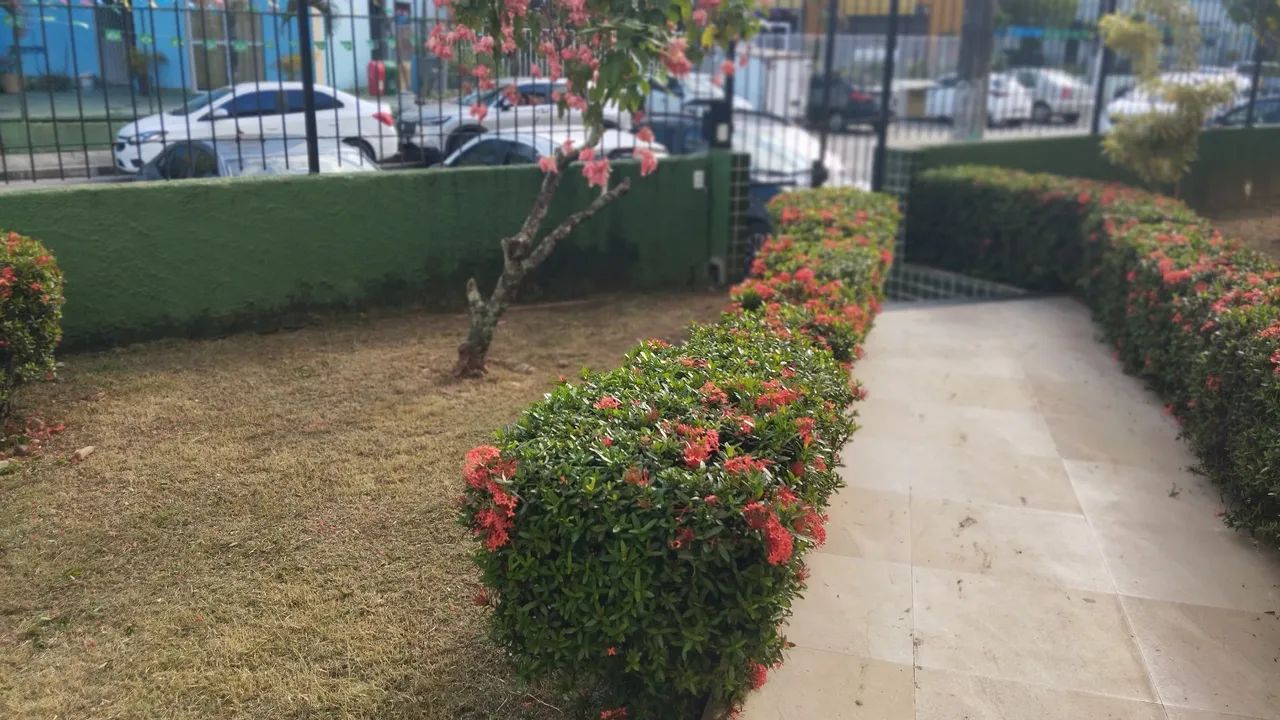 Jardinagem roçagem  - Foto 2