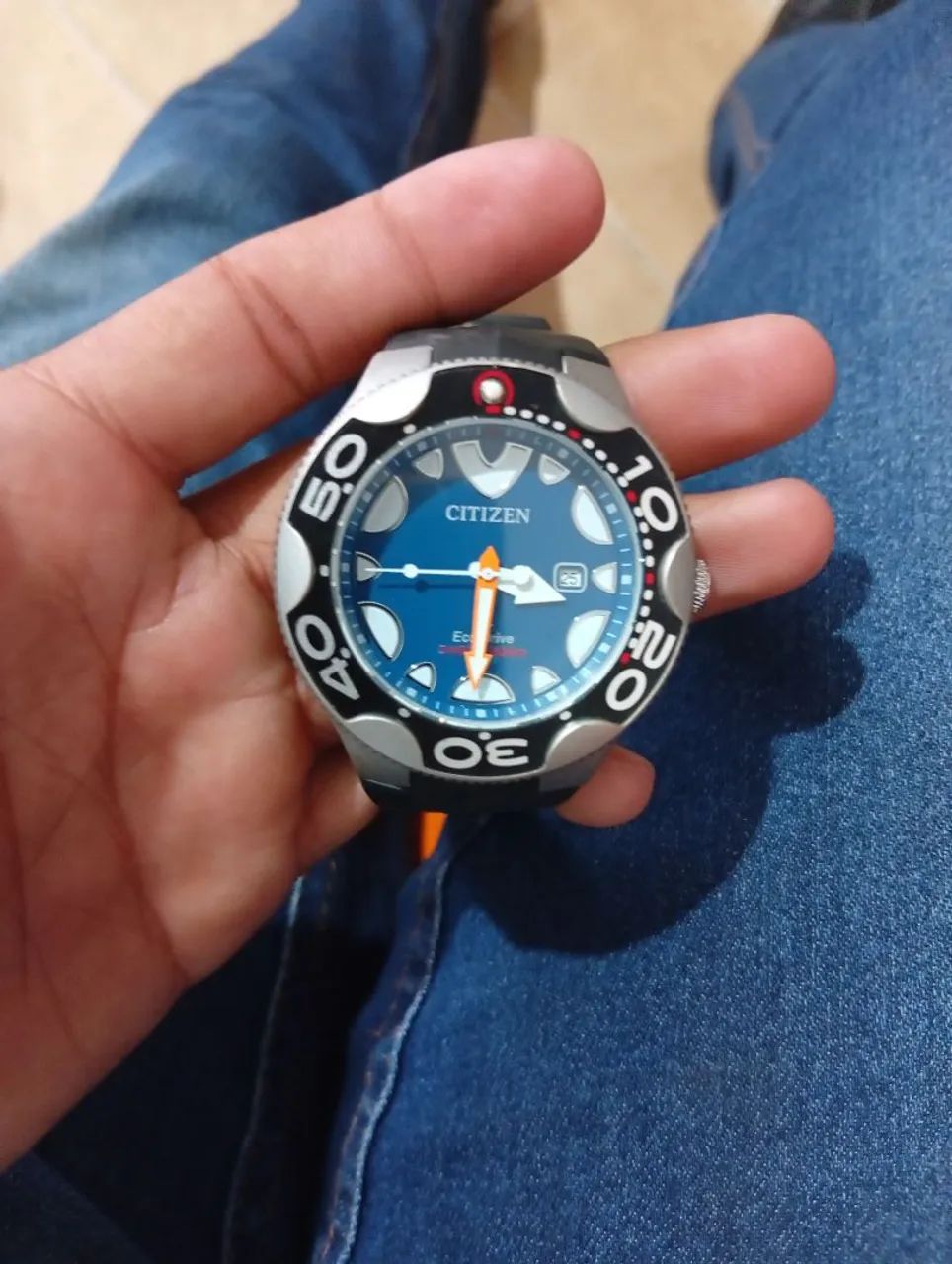 Citizen Orca 