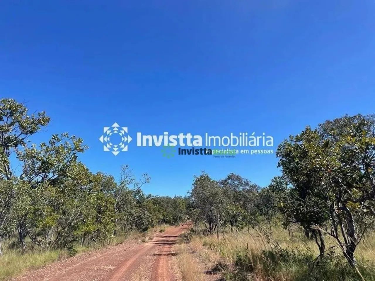 Fazenda com 900 alqueires para lavoura em Almas - Foto 2