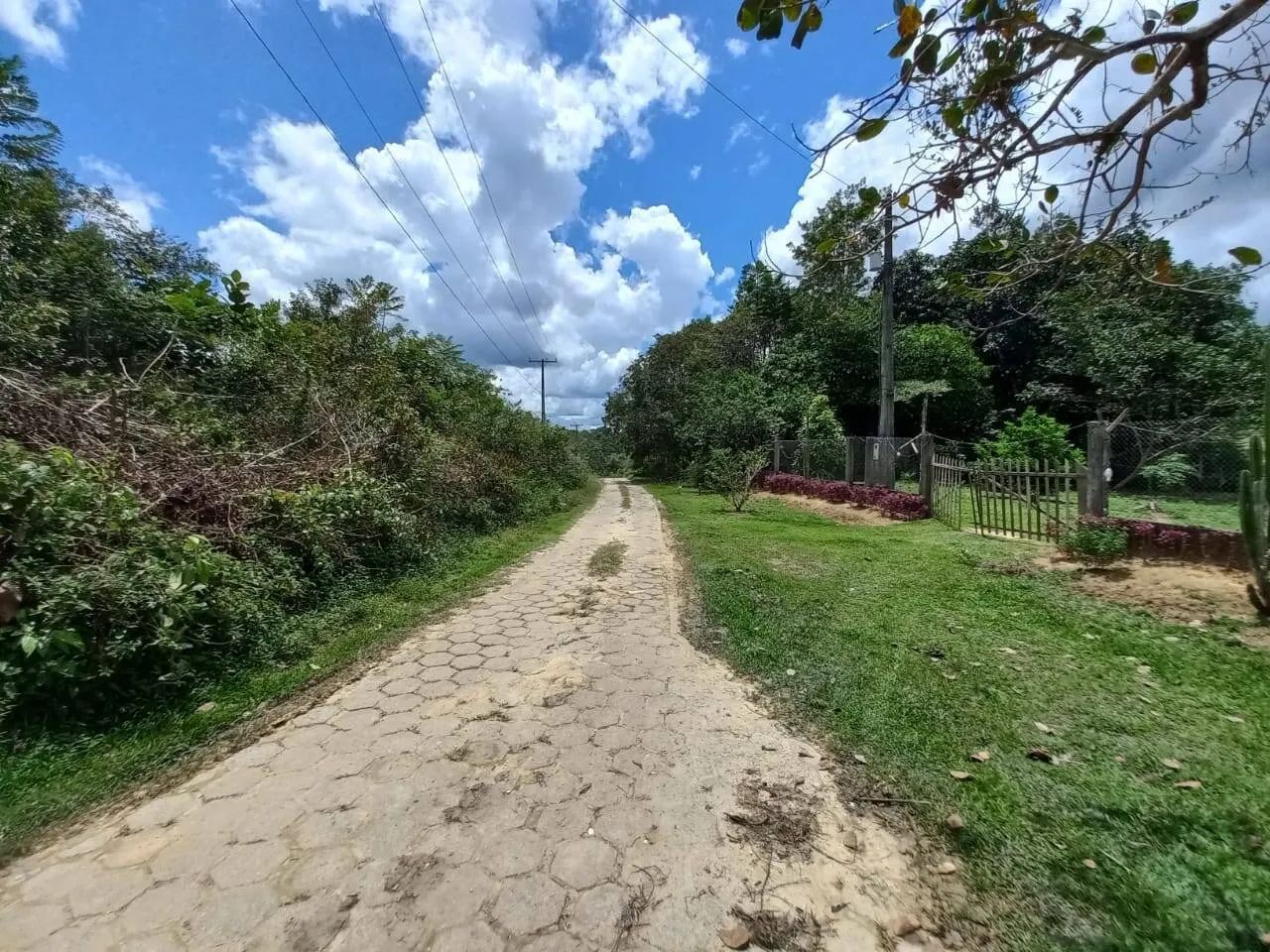 Terreno com igarapé para sitio, na BR 174, km 07, Amazonas - Foto 4
