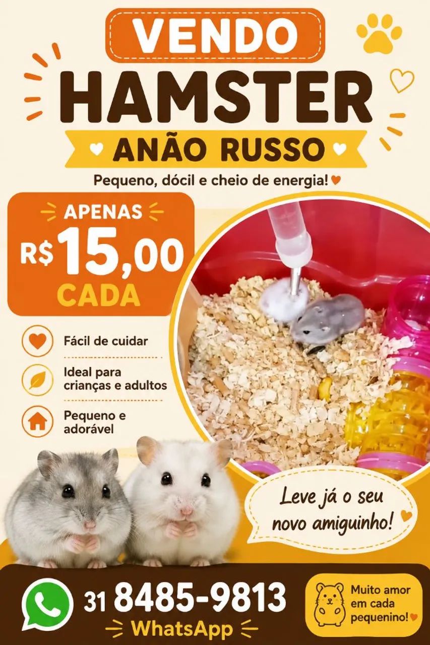 Hamster Fofinhos