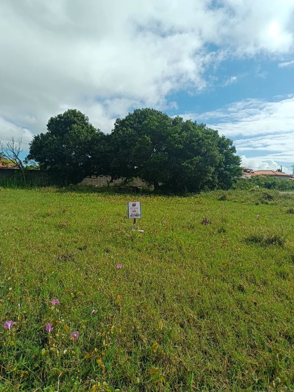 3 lotes non loteamento Camaçari em Lucena-Pb - Foto 2