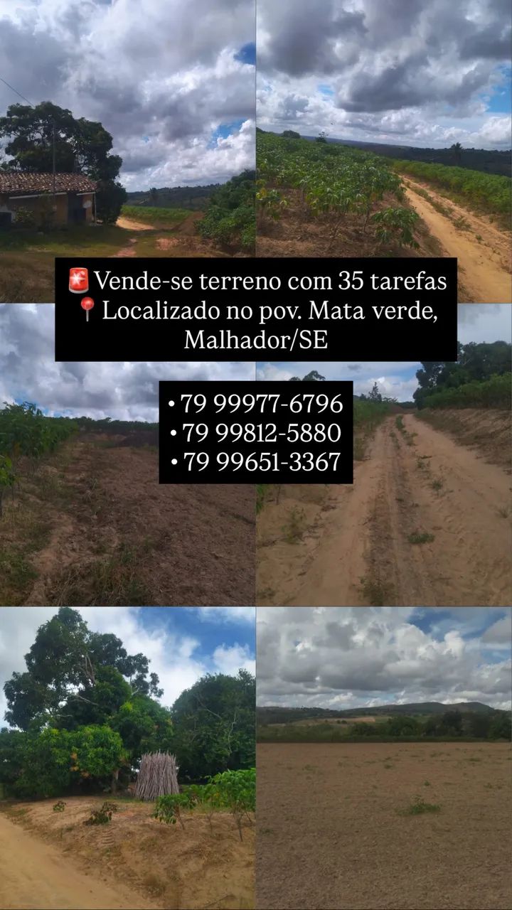 35 tarefas de terra - Malhador/SE