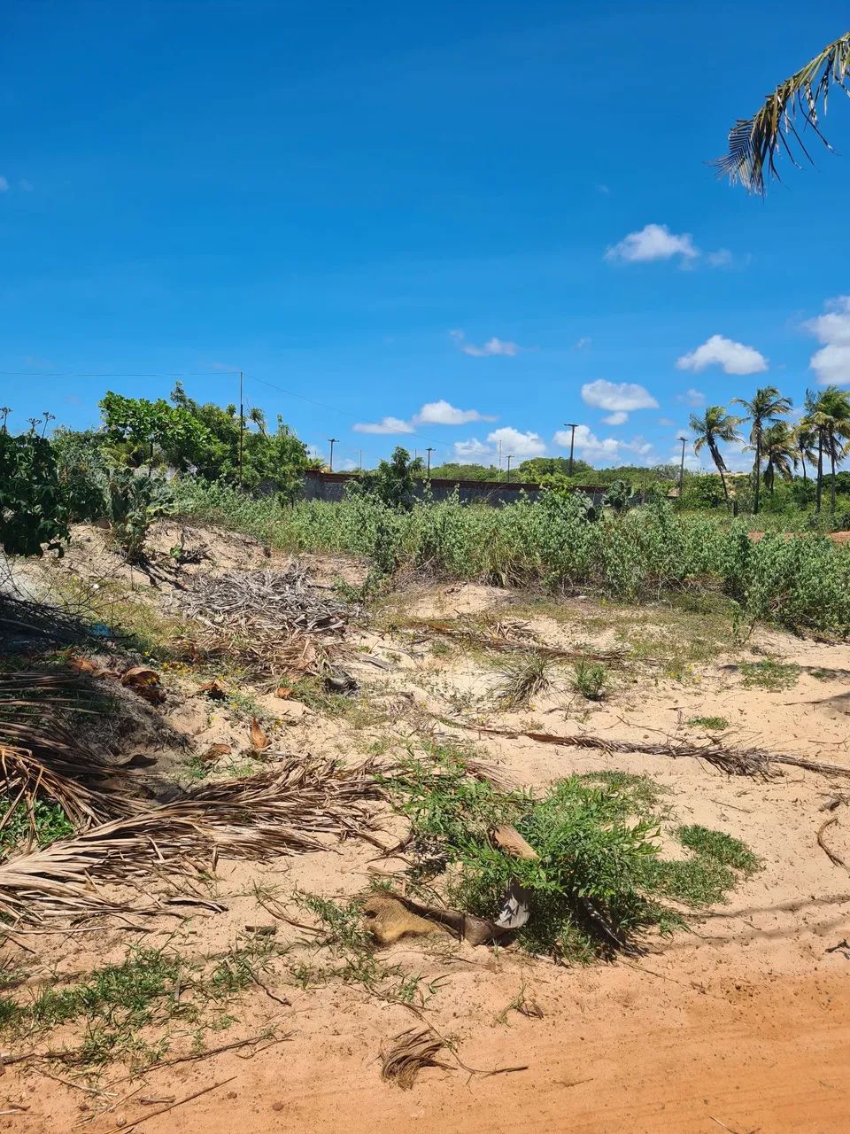 Terreno em carnaubinha  - Foto 2