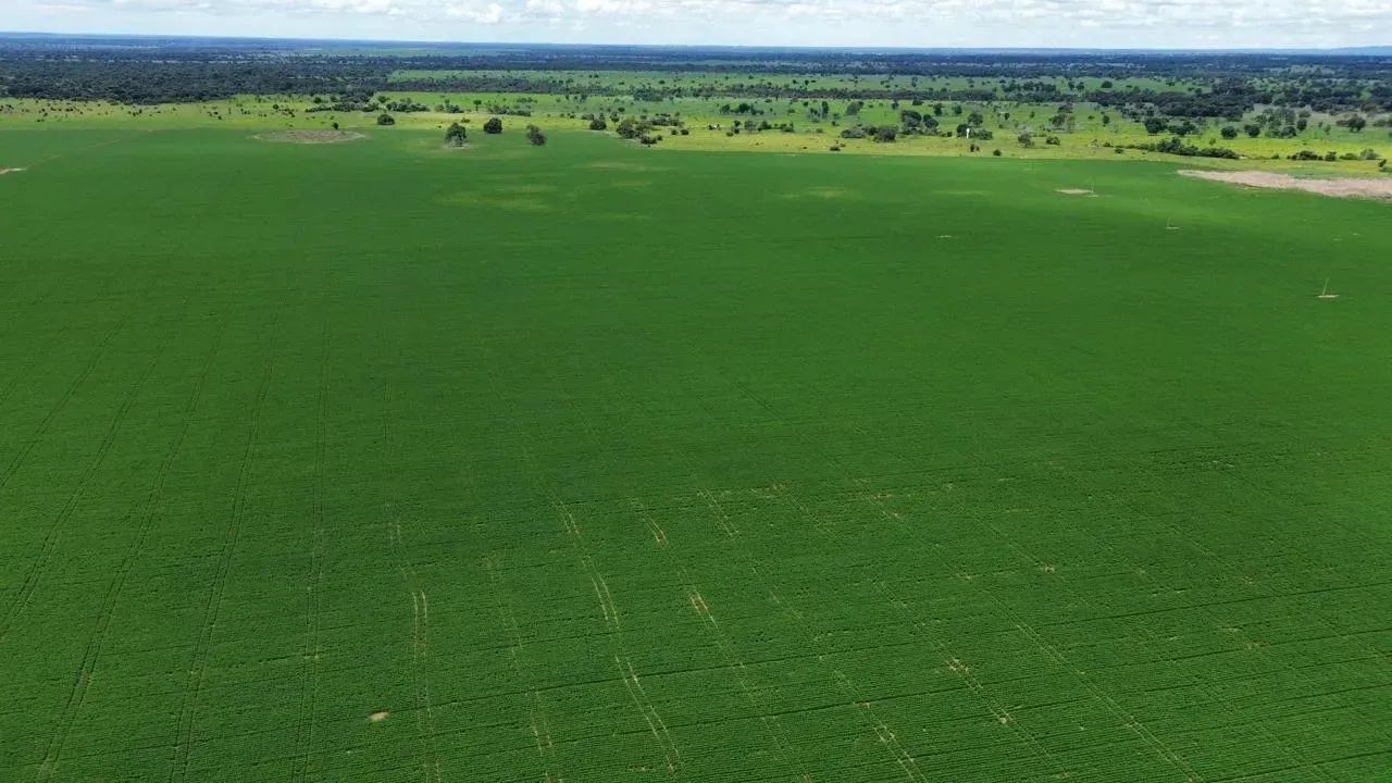 Fazenda a venda, em Nova Crixas - Goias! - Foto 2