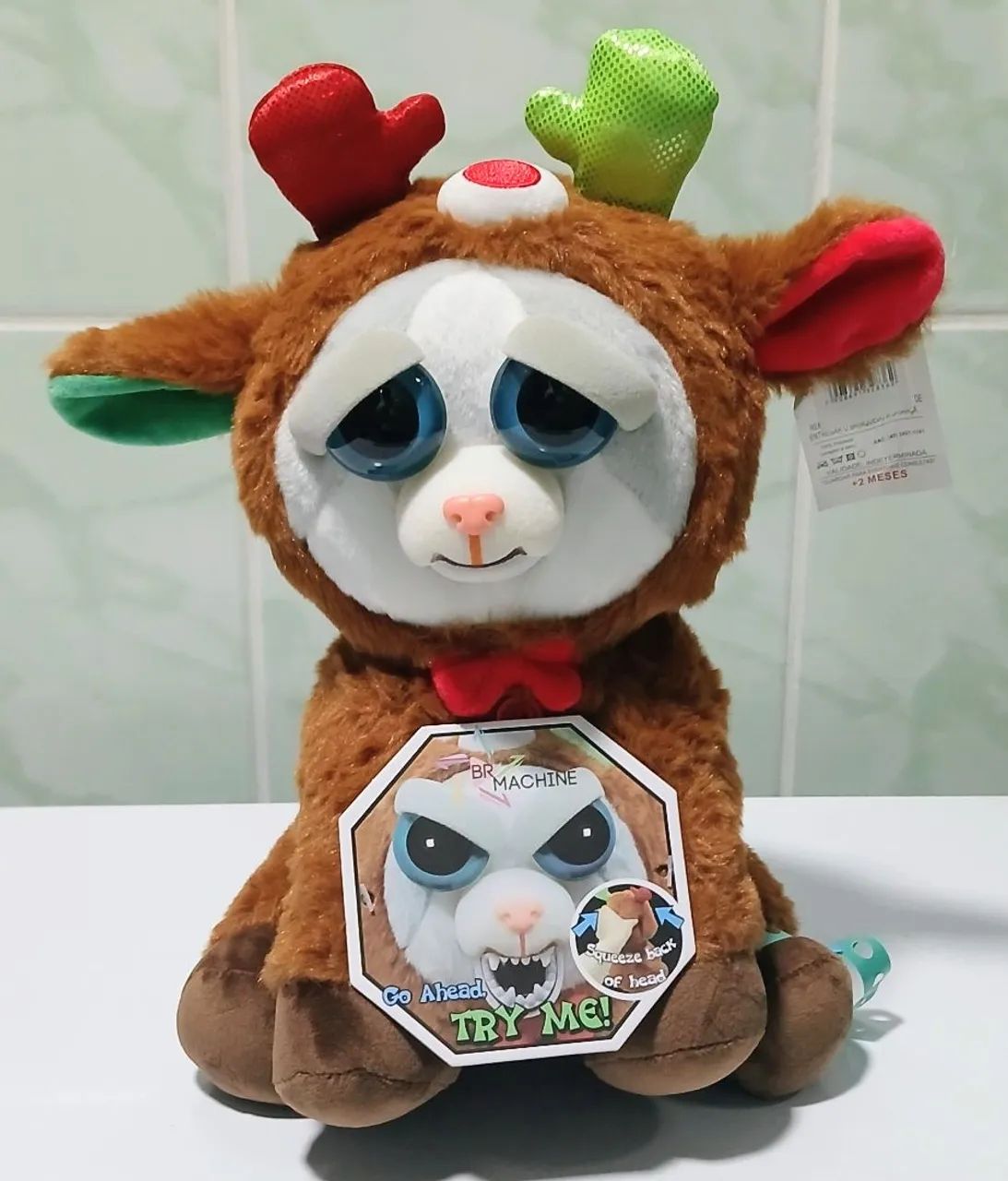 Gato Feisty lote com 15 - Foto 4