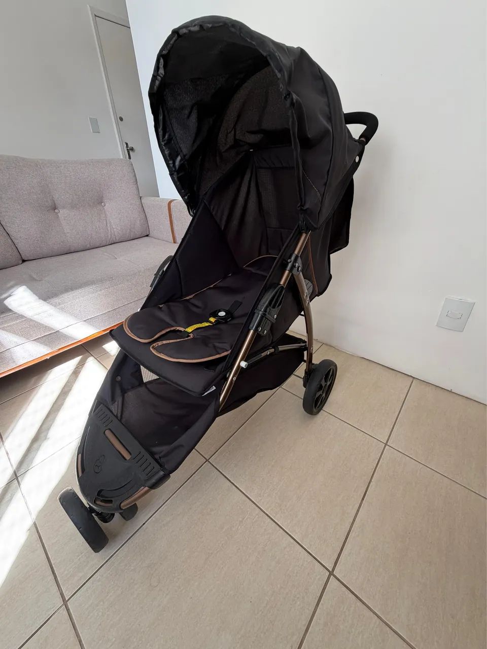 Carrinho de bebê e bebê conforto Galzerano