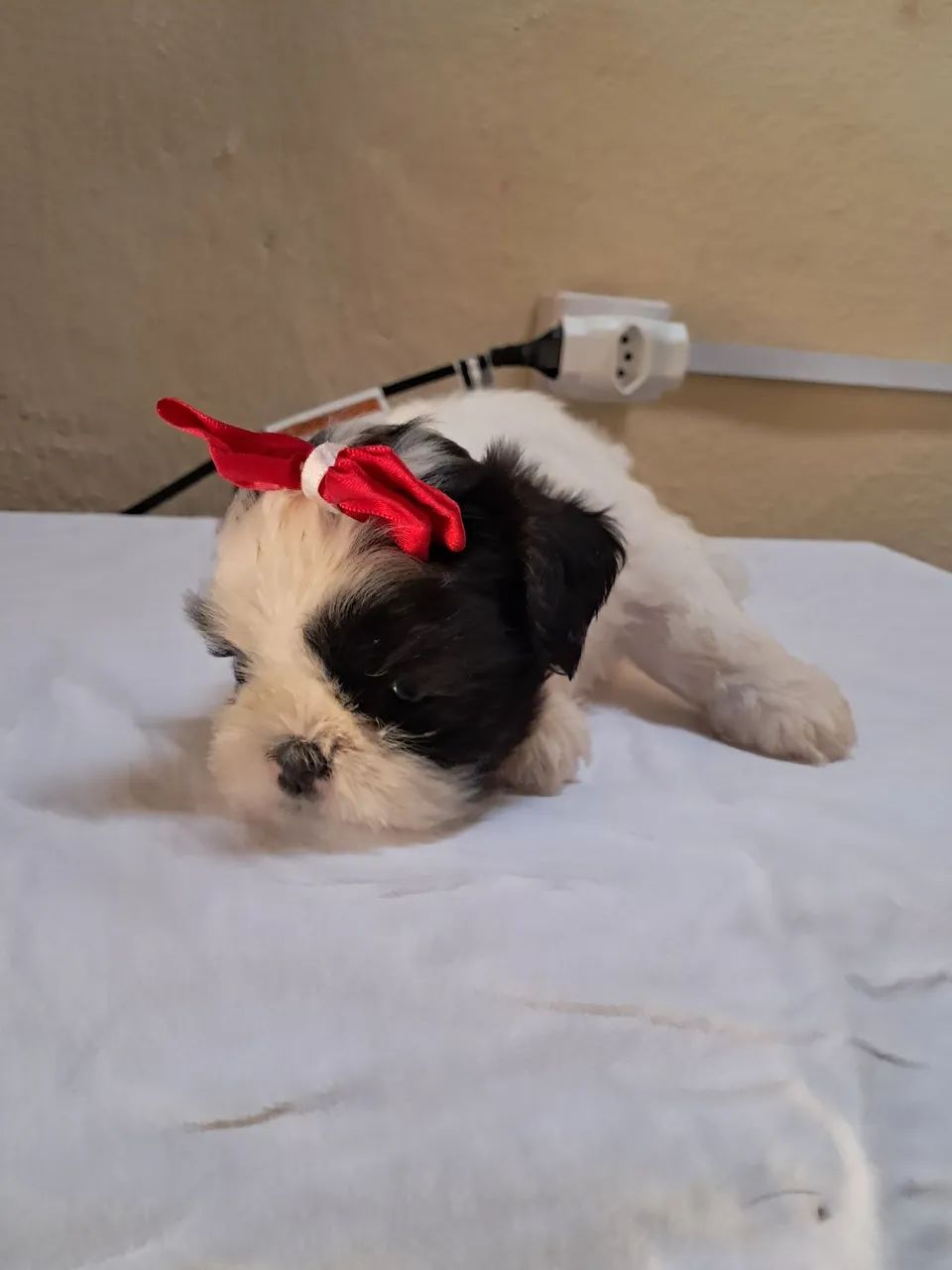 Vende-se  - Foto 5