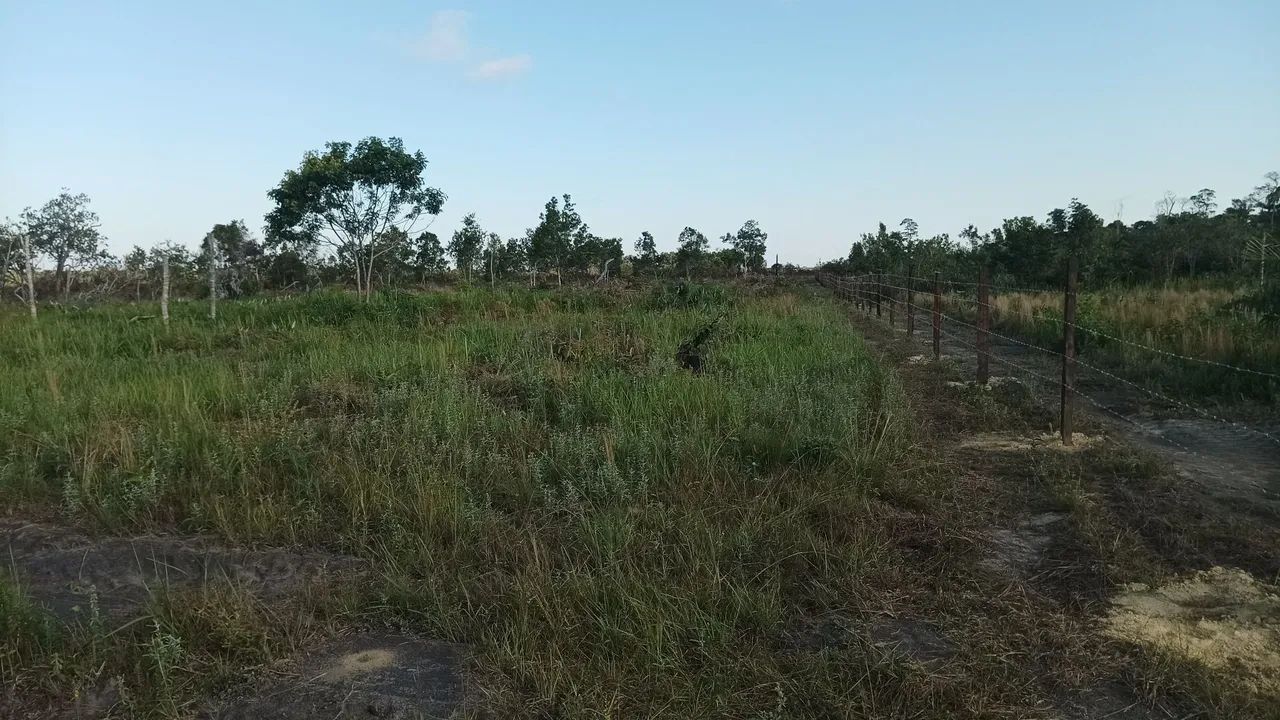 Chácara  - Foto 2