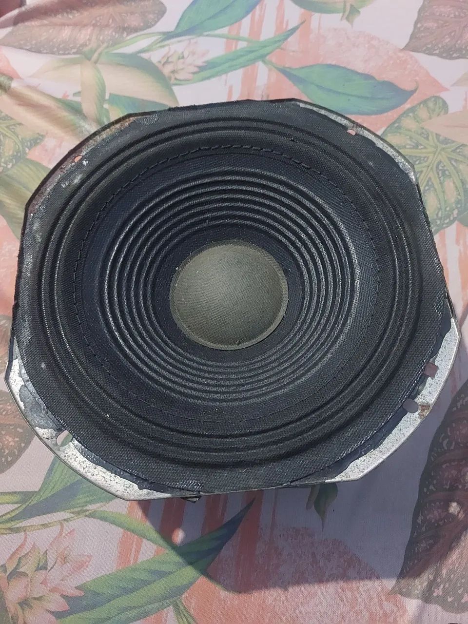 Medio grave de 8 polegadas... obs: com aro da Sony 8 homs 100w rms