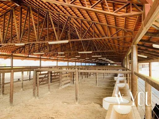 Imóvel Comercial com Amplo Salão de Eventos e preparado para grandes leilões - Foto 4