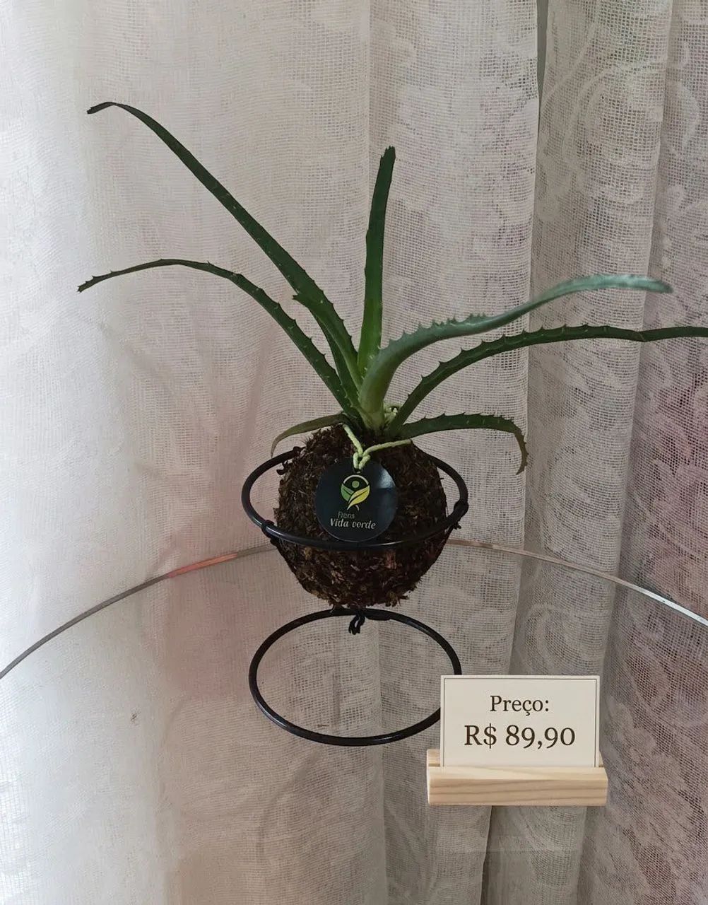 KOKEDAMAS  - Foto 4