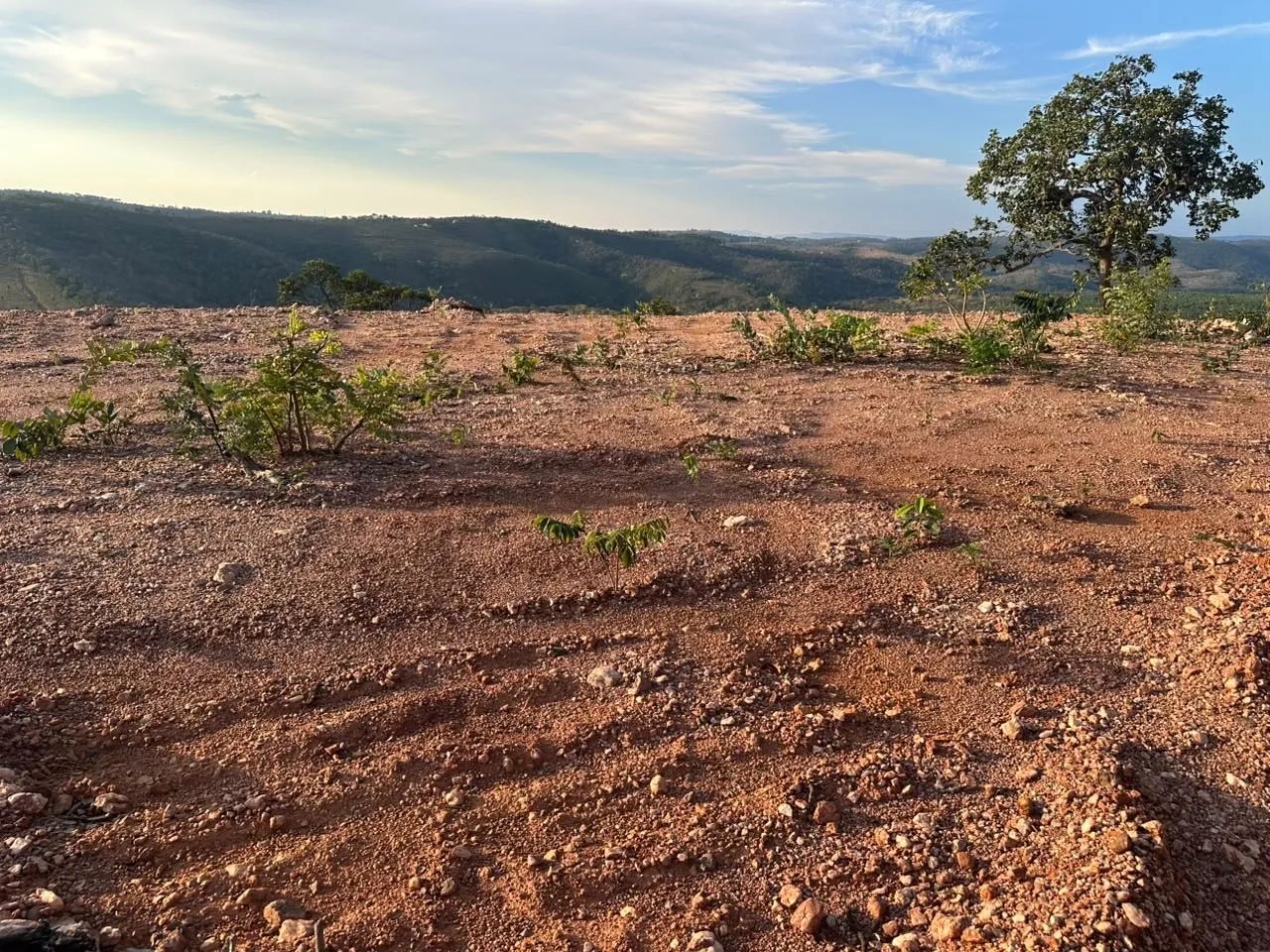 CHÁCARAS DE 1.000 m² A APENAS 60 KM DE BH - Foto 3
