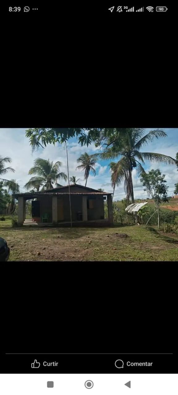 Vende-se sítio  - Foto 3
