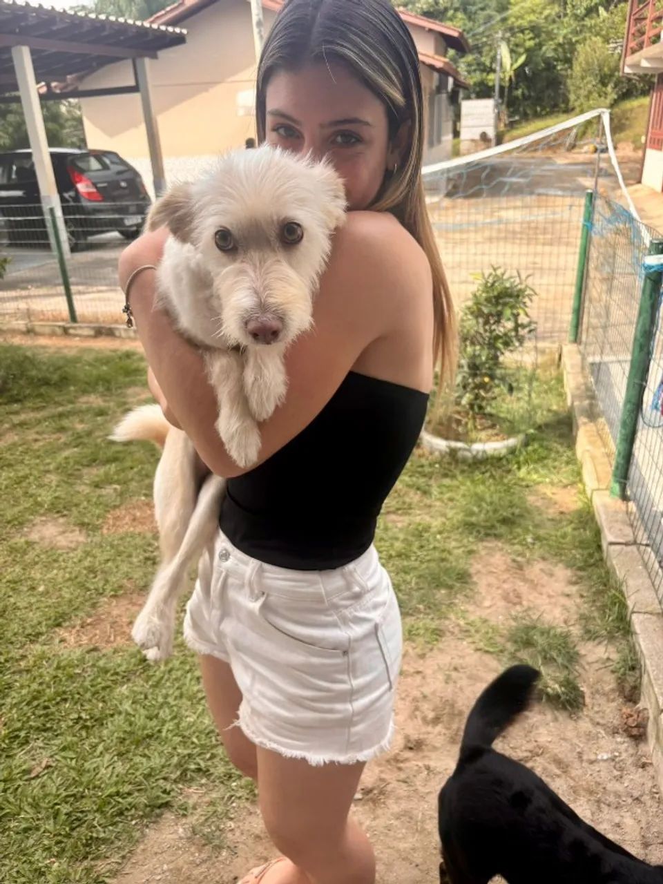 PET SITTER FLORIANÓPOLIS  - Foto 2