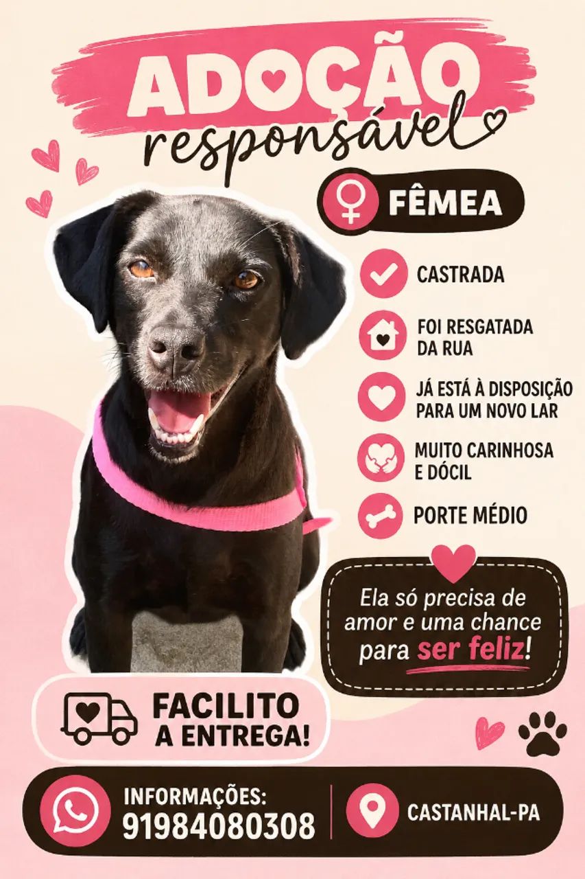 Doação responsável 