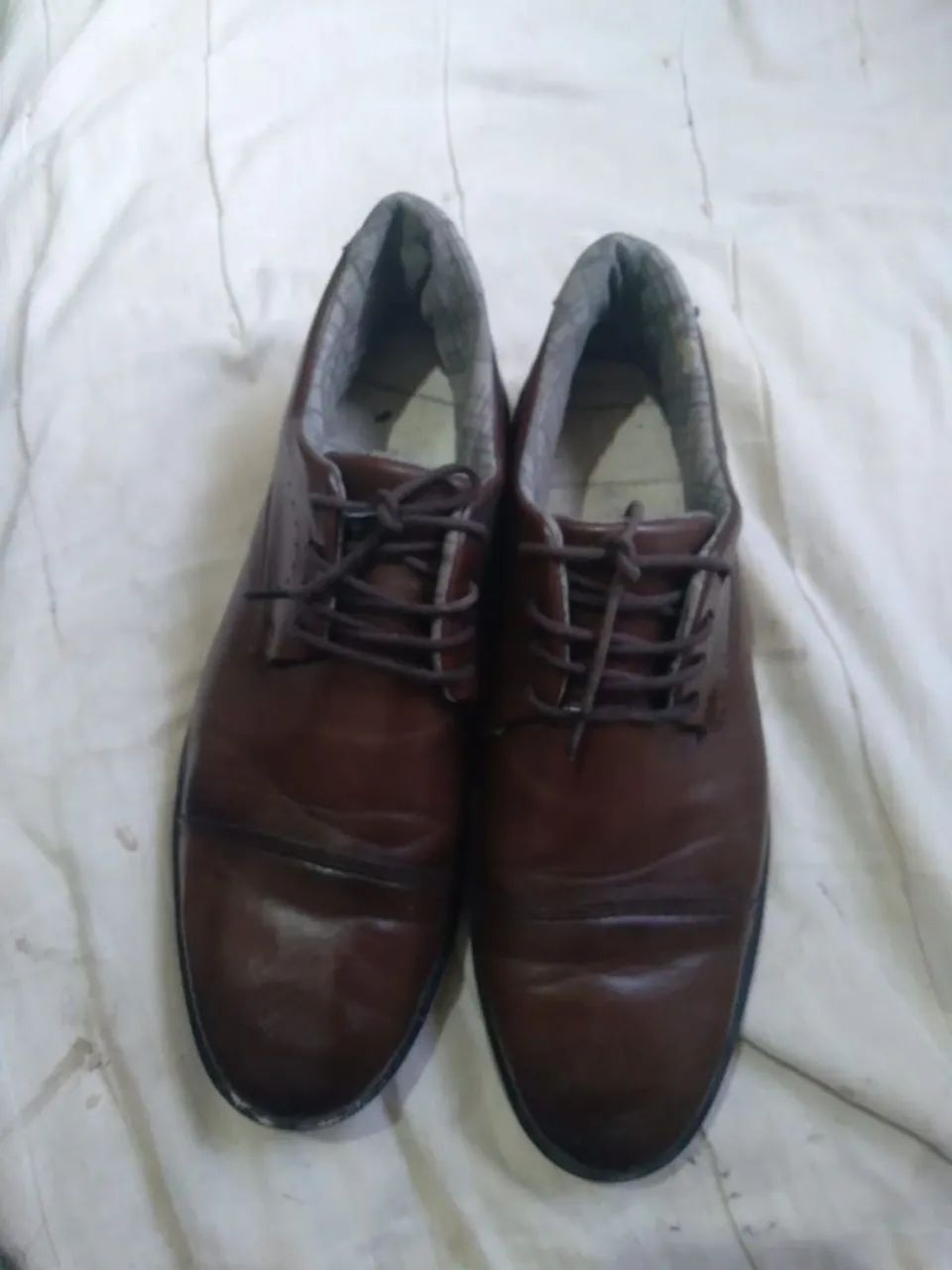 Sapato marrom achocolatado 