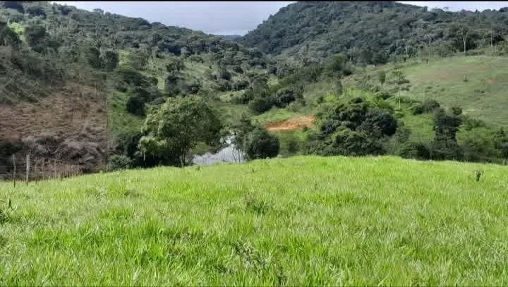 Sitio a venda  - Foto 4