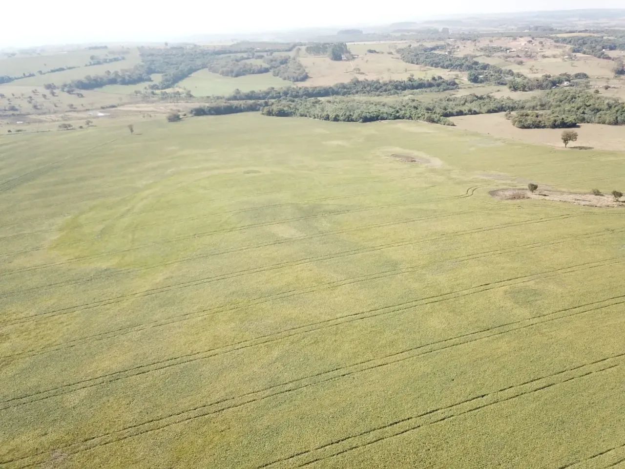 Fazenda/Sítio/Chácara para venda - Foto 3
