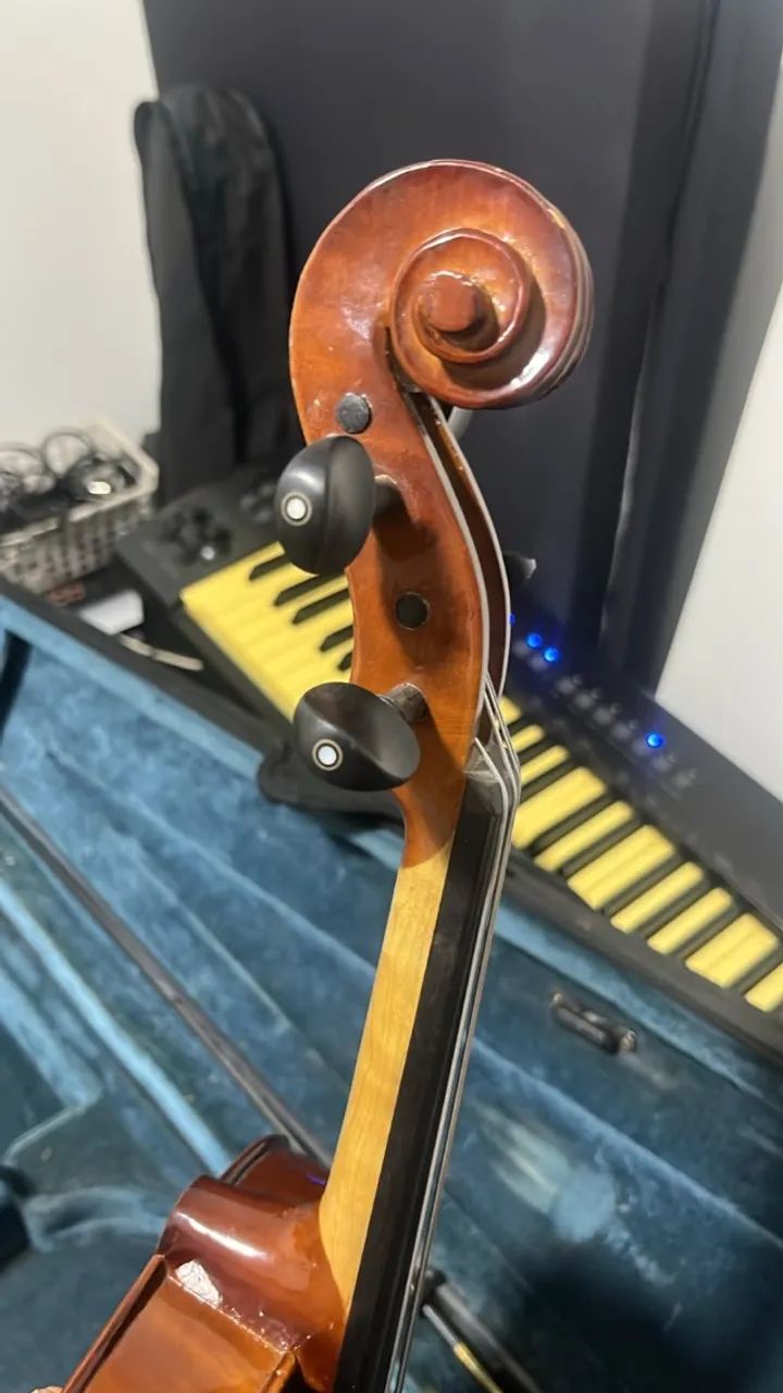 VIOLA DE ARCO EAGLE VA150 - Foto 3