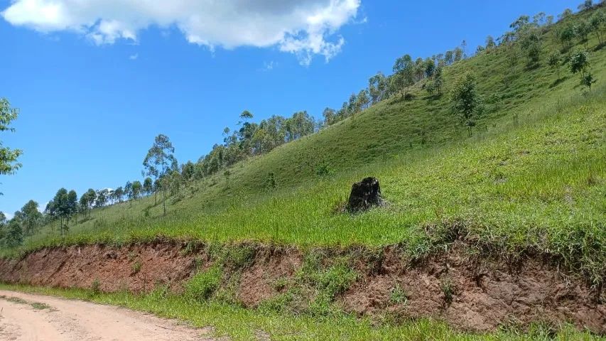 Foto - Igaratá - 