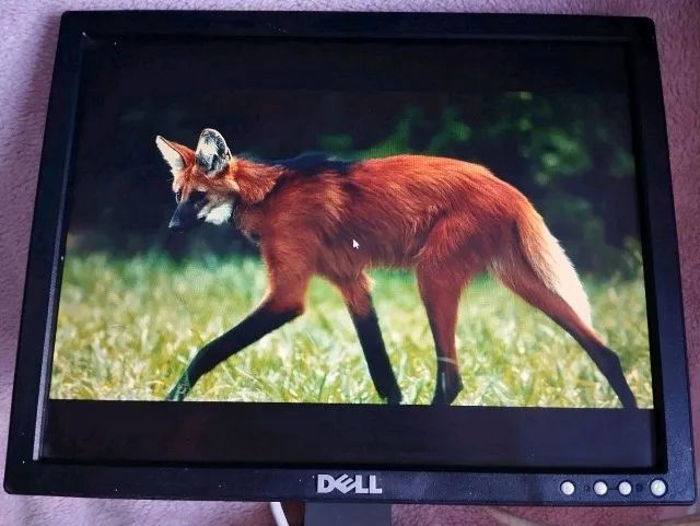 Monito Dell e157fpc preto - Foto 2