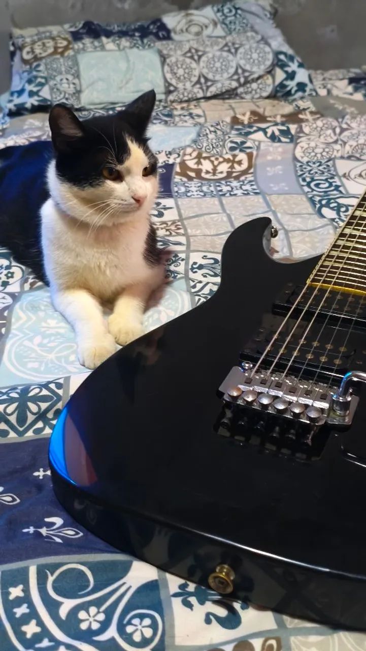 Guitarra Phil Pro - Foto 2