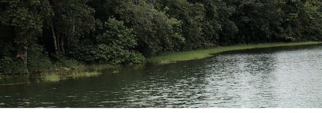 10.000 m2 chácara, casa, energia, represa, em Tangará da Serra- MT, Ocasião