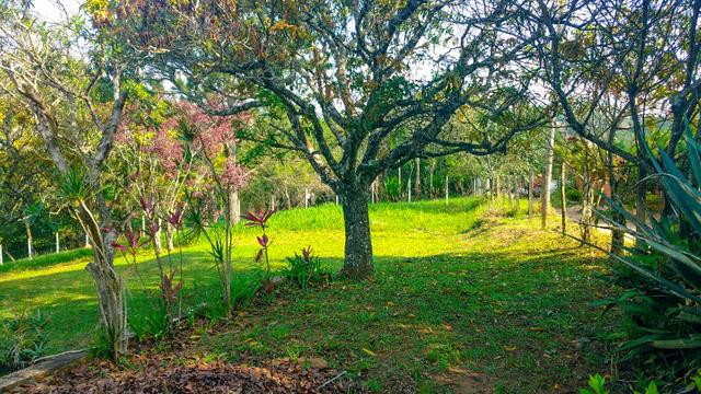 Chácara 4200 m² Atibaia Ac. Permuta. Cód. JEB-9 - Foto 13