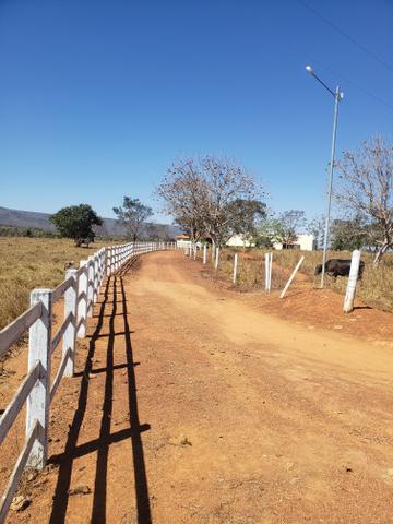 Fazenda de 510ha em Buritis MG - Foto 10