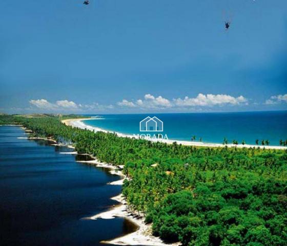 Terreno à venda, 40.920m² por R$ 690.000 - Barra Grande - Maraú/BA