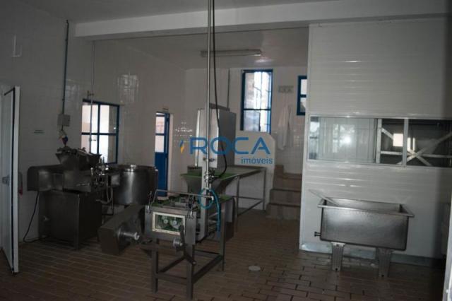 Rural - Rural - Foto 20