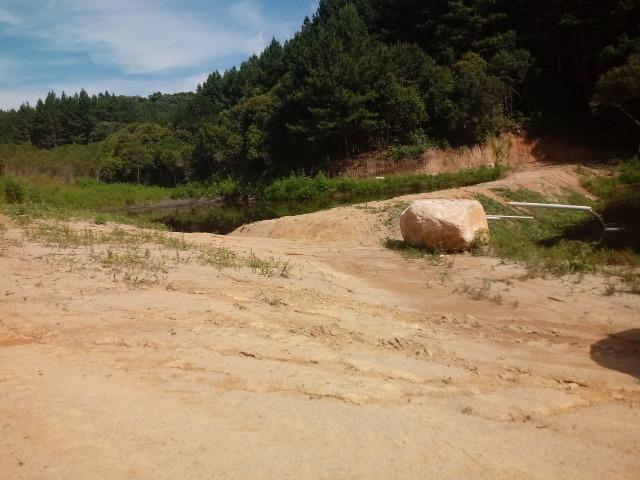 Terreno em lagoa dos ferreiras Mandirituba 24.200m 1 alqueire - Foto 11