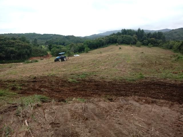 Terreno em lagoa dos ferreiras Mandirituba 24.200m 1 alqueire - Foto 2