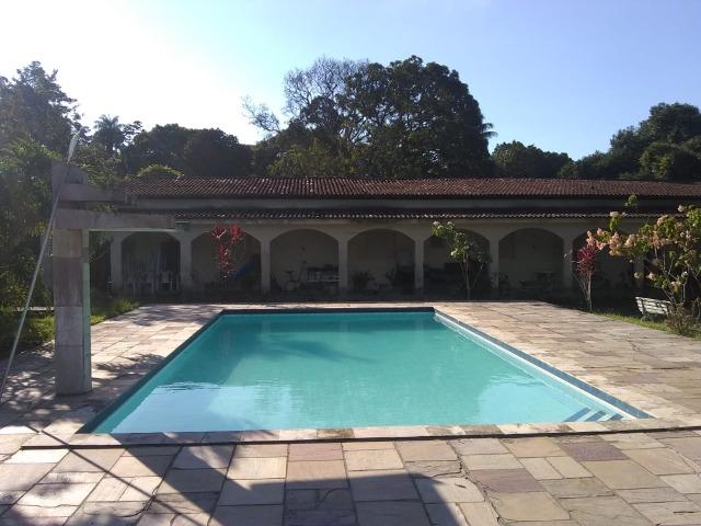 Vendo Chácara em Ribeirão PE - 10 hectares - Foto 6
