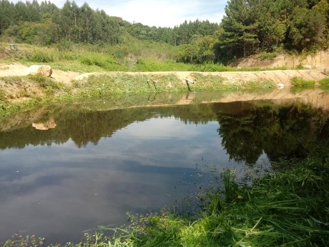 Terreno em lagoa dos ferreiras Mandirituba 24.200m 1 alqueire - Foto 5