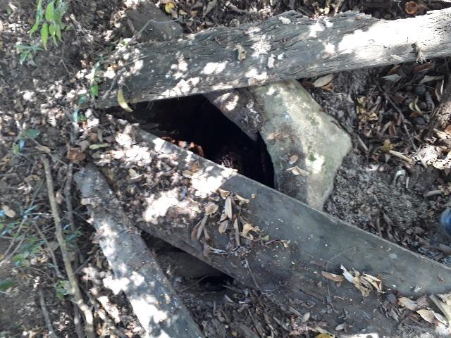 Chacara - Foto 3