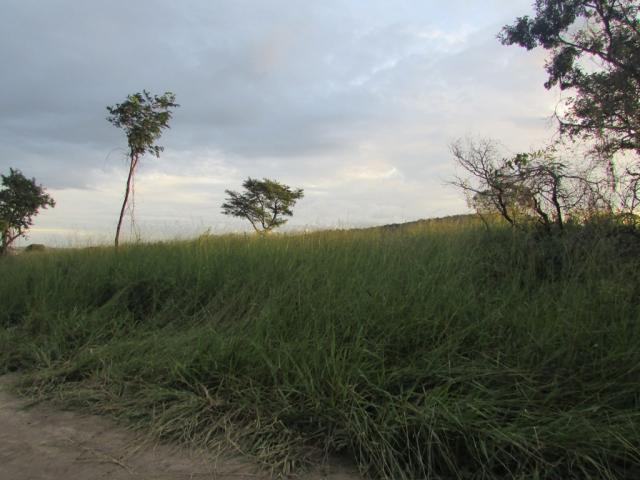 Terreno à venda em Costa azul, Divinopolis cod:18689 - Foto 2