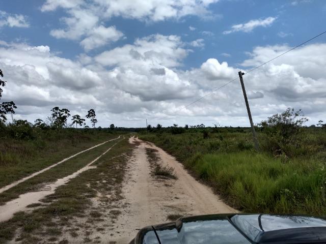 No Pará,175 hectares ha região de Castanhal-Pará por 1.400.000,00 documentada - Foto 11