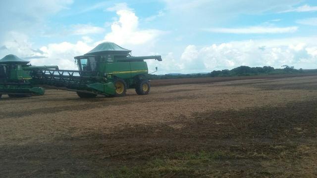Fazenda de 16.250 Alqueires Paulista, Na Região de Confresa MT - Foto 11