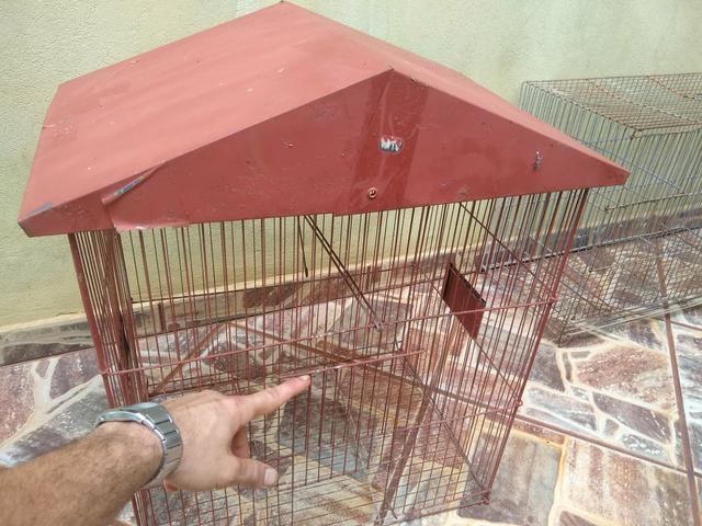 Gaiolas - Foto 2