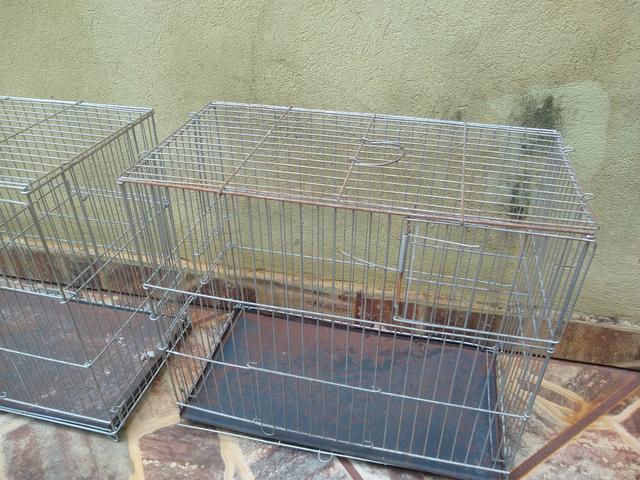 Gaiolas - Foto 5