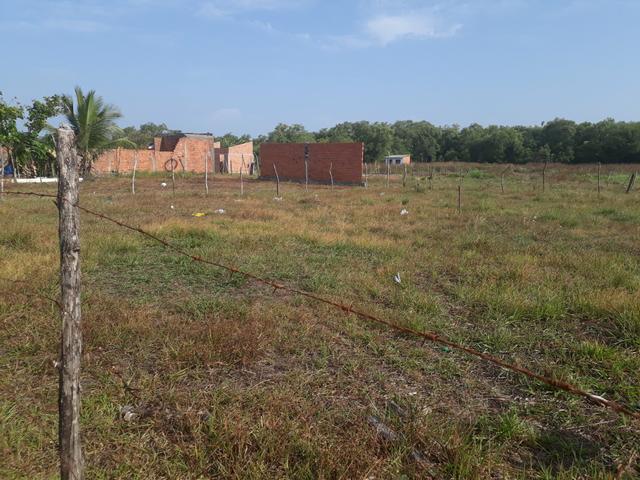 Terreno - Foto 3
