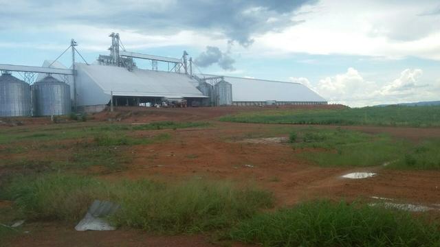Fazenda de 16.250 Alqueires Paulista, Na Região de Confresa MT - Foto 9